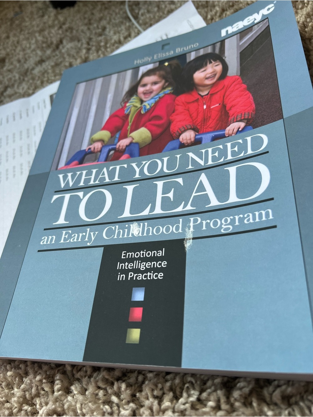 Children's Board Book - Red Jackets Cover (Naeyc)